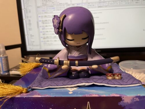 【不満】せっかく買ったこれが届いたんだけどさあ…