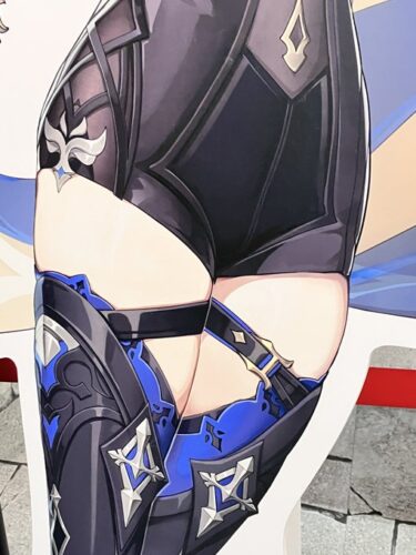 【画像】秋葉原にエウルアいた！！