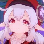 【質問】誰か遊園地の評価教えて？？？