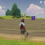 【質問】レザー使ってるんだがコイツどうやって上限突破すればいい?