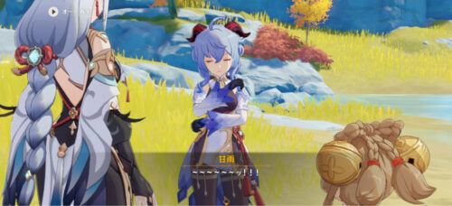 【画像】こんなスケベな格好した女共が野っ原歩いてたりしてんだからテイワットってすごいよな