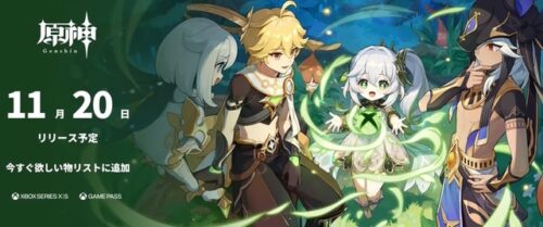 【疑問】XBOXって店頭で一度も見たことないんだけど…