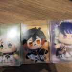 【画像】グッズ、とりあえずコイツラだけ買ってきたぞ！！！